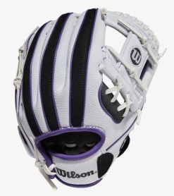 Wilson 2022 A200WBPT 10" Youth Softball Glove